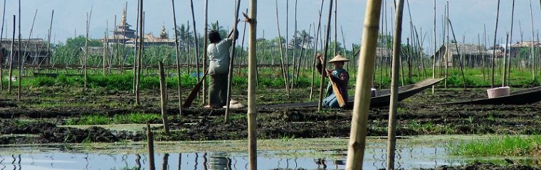Birmania - Myanmar | News