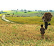 Birmania | panorama da Kalaw verso in lago Inle